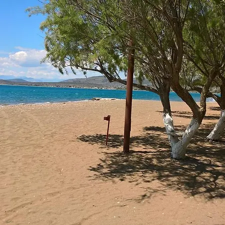 Poseidon Bungalows