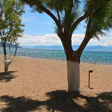 キャンプ場 Poseidon Bungalows イリア