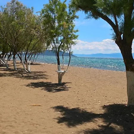 Poseidon Bungalows キャンプ場